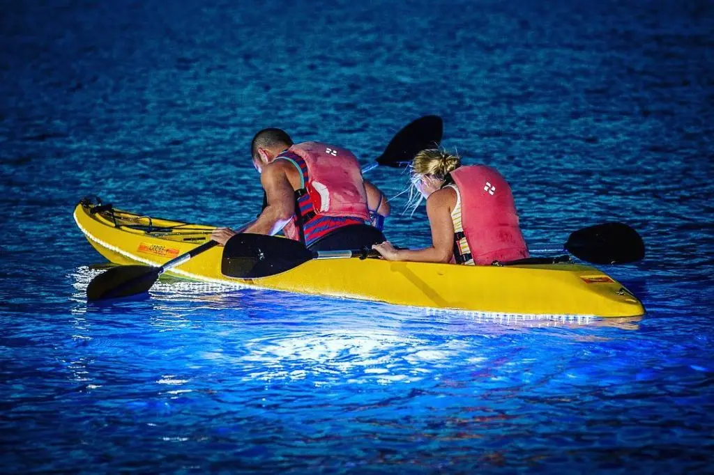 night-kayaking-in-port-blair-bioluminescence